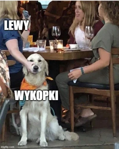 Otter - już coś się wydawało że niewidoczny to s-----l właściwie w pojedynkę zrobił K...