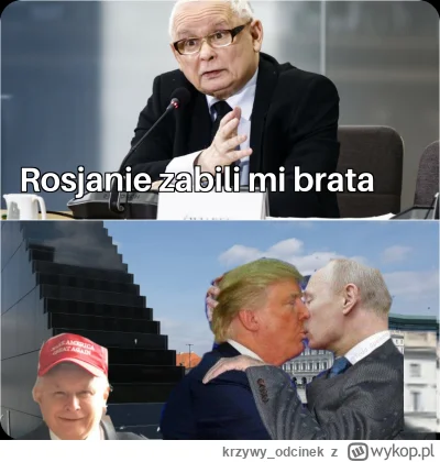 krzywy_odcinek - #bekazpisu #bekazprawakow #polityka