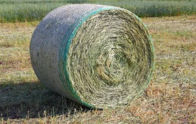 Neobychno - Czu u kogoś z was na to się mówi "Bałda"? W wieku 31 lat ogarnąłem, że ni...