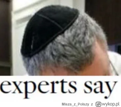 MiszazPolszy - @Fantazmaty za darmo to uczciwa cena