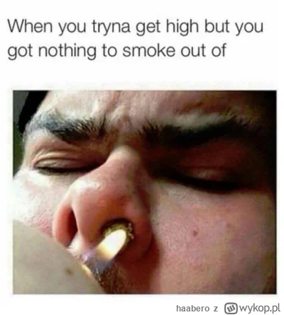 haabero - @wscieklykabanos: