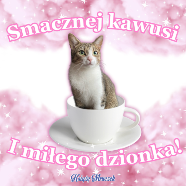 slawek887 - @ugotowana_osmiornica: Jesteś nudny i masz zbyt duże mniemanie o sobie, t...