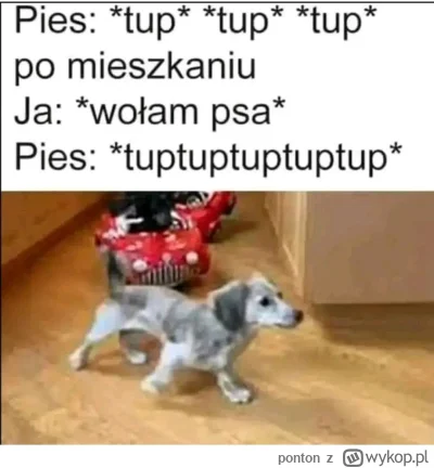 ponton - @FreakingAwesome: