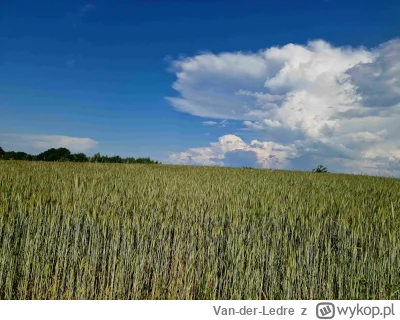 Van-der-Ledre - Jestem sobie na rowerze, przemierzam polne pustkowia zdala od ludzi. ...