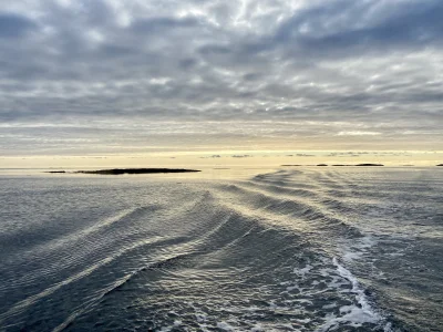 TypowySebixon - Pozdro 🫡 też coś dorzucę ze staroci