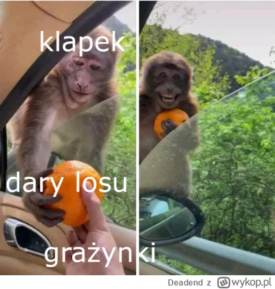 Deadend - #raportzpanstwasrodka