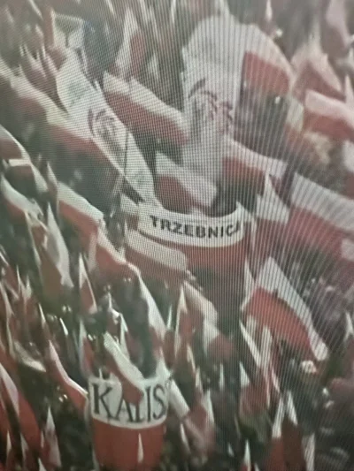 wombatDaiquiri - Mariusz to Ty? #mariusztrzebnica #marszniepodleglosci