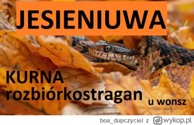 boa_dupczyciel - #rozbiorka #stragan #perfumy

JESIENNA PERSONALNA SELEKCJA SZTOSÓW, ...