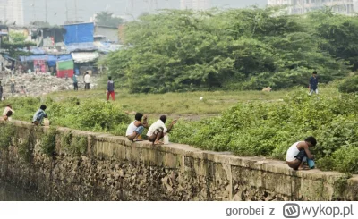 gorobei - @Czokoszok69: