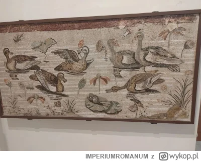 IMPERIUMROMANUM - Mozaika rzymska ukazująca kaczki, ptaki i żaby na wodzie

Mozaika r...
