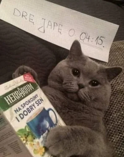 deap - A kocica co do tyłu chodzi? ( ͡~ ͜ʖ ͡°)

#koty