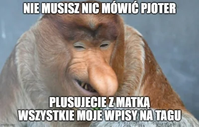 jude_88 - #konkursnanajbardziejgownianymemznosaczem