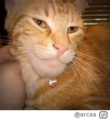 arcxa - @wybryk_natury: YES