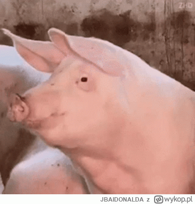 JBAIDONALDA - @emwuu: