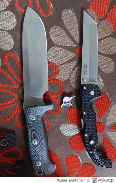 Wziuu_pontonem - Obniżę cenę, nikt nie chce kupić... 
700 i 400