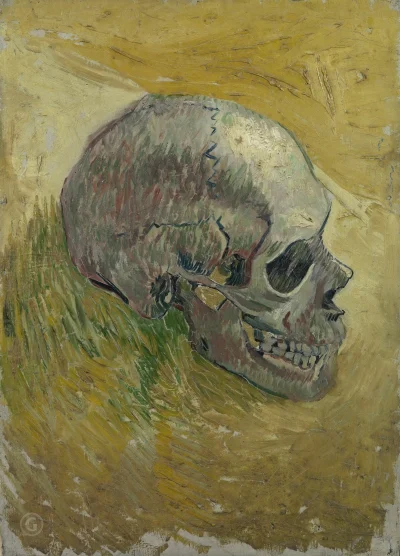 Corvus_Frugilagus - Vincent van Gogh - Czaszka

#corvusfrugilaguscontent