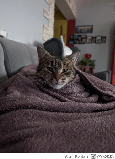 Alter_Konto - #pokazkota