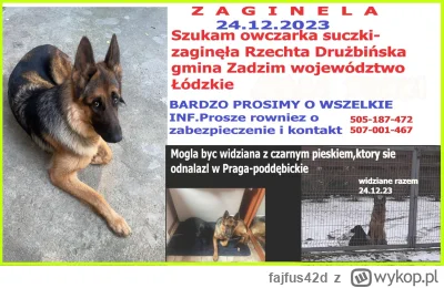 fajfus42d - Zaginęła Rzechta Drużbińska Gmina Zadzim
Ktokolwiek widział, ktokolwiek w...
