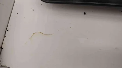 smokzabojcaludzi - @smokzabojcaludzi: wyczyściłem z tej wilgoci front szuflady zanim ...