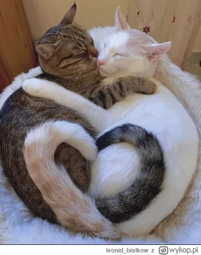 leonid_bialkow - dobre czeba spać iść bo jasność niemiłosierna jes, cze dla was wsiec...