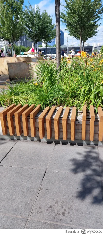 Evurak - Siedzę sobie w centrum Katowi i oprócz ławek, są też takie cosie do siedzeni...