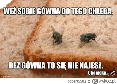 robert5502 - #heheszki #jedzenie #humorobrazkowy #owady
