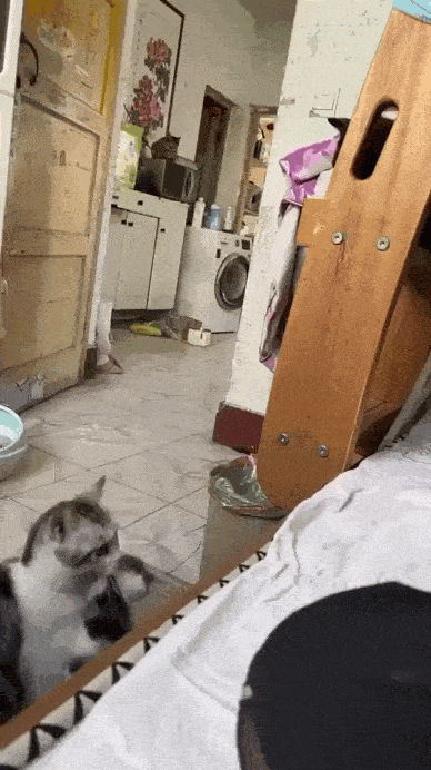 wfyokyga - Matka roku