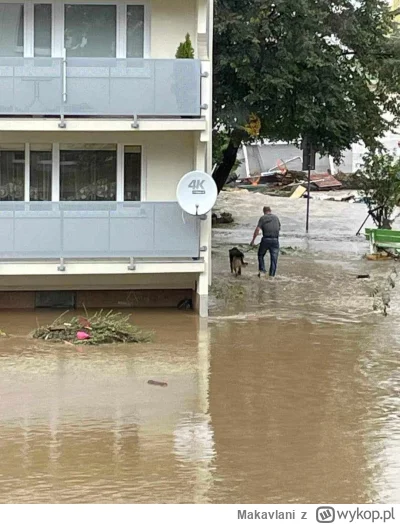 Makavlani - Chyba nie ma się co jeszcze cieszyć. Wychudzonego psa z nadwątlonym zdrow...