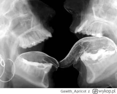 Gawith_Apricot - Westbam - United States of Love

https://www.youtube.com/watch?v=Ryv...