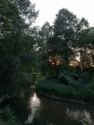 Gontyn- - #przegryw #spierdotrip