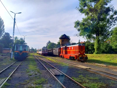 sylwke3100 - Stacja Bytom Karb Wąskotorowy 

Ostatni weekendowy pociąg prowadzony Lxd...