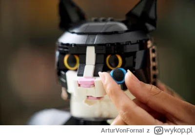 ArturVonFornal - @GrimesZbrodniarz ciekawostka, w tym zestawie jest drugi komplet ocz...
