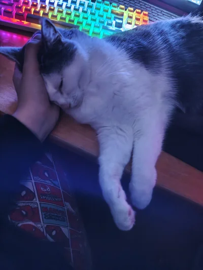 luciditygone - nie mogę iść spać, bo muszę trzymać kotu głowę