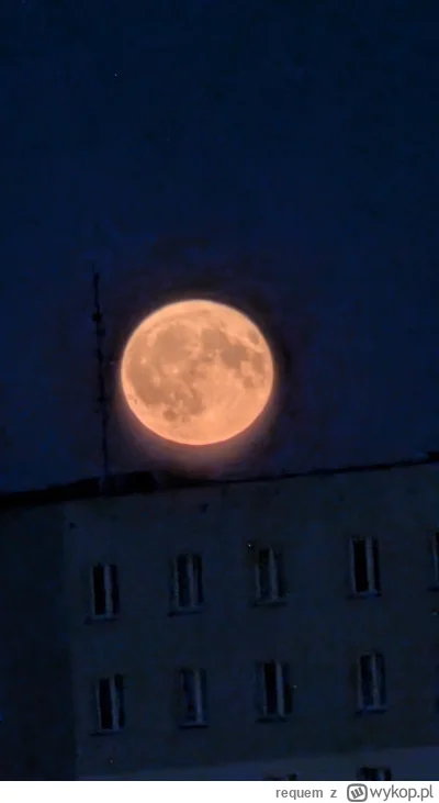 requem - @kureci_paratko Zbożowy księżyc. Coś próbowałem ustrzelić, ale wiadomo jak z...