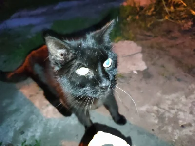 Timer555 - @Timer555