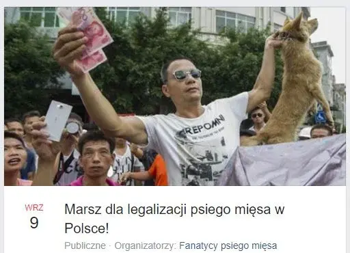 duszanzkapitana_dupy - Oezu, pamiętam to, mimo ze 2017 to bait był wybitny xD dzisiaj...