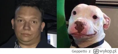 Geppetto - Trochę lipa dauniel co nie?
#danielmagical