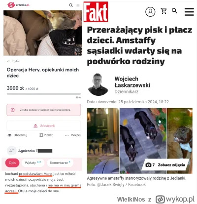 WielkiNos - Po lewej zbiórka właścicielki amstaffów z Jedlanki (wpis o tym) na jedneg...