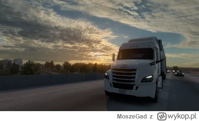 MoszeGad - #ets2 #ats #gry