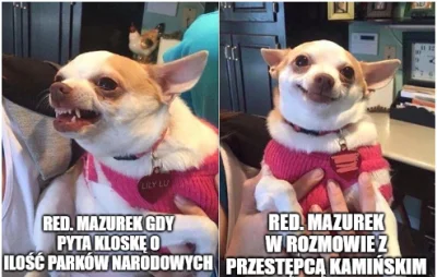 qzder - #mazurek #porannarozmowa #polityka