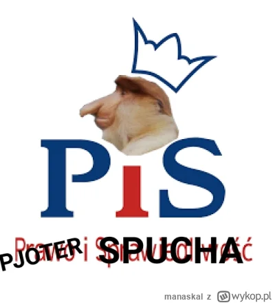 manaskal - #konkursnanajbardziejgownianymemznosaczem
@Azorek77 poprawiona wersja