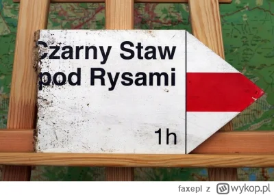 faxepl - Tatrzański Park Narodowy #TPN wystawił na aukcjach charytatywnych #WOSP różn...
