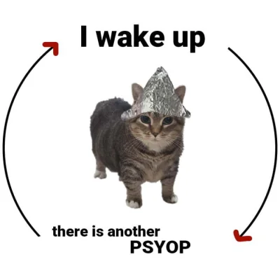 Foxbat - #nieruchomosci