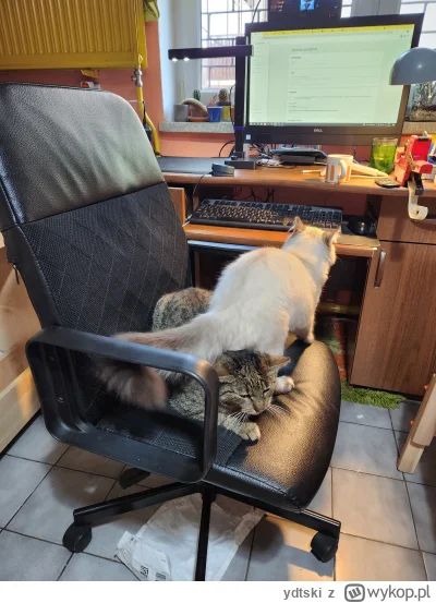 ydtski - @ydtski: no tak