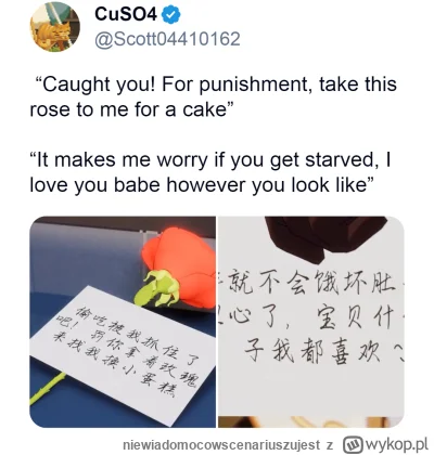 niewiadomocowscenariuszujest - @niewiadomocowscenariuszujest: