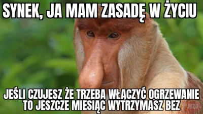 g0blacK - #heheszki #humorobrazkowy #budzetdomowy #ogrzewanie #janusze
