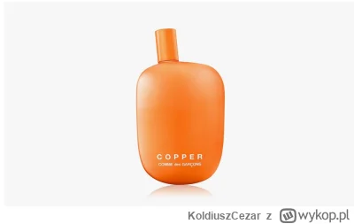 KoldiuszCezar - #perfumy 

Cześć, zamawiał ktoś z noblas.pl?

Znalazłem tam comme des...