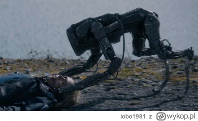 lobo1981 - W serialu wojna swiatow "obcy" wybili ludzi za pomoca takich wlasnie "psow...