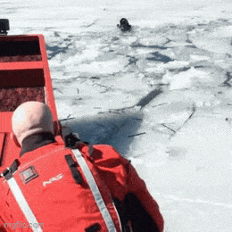 wfyokyga - Piesiu uratowane