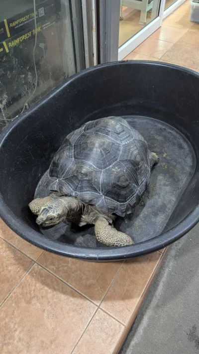 vulcanitu - Dojechali Franklina